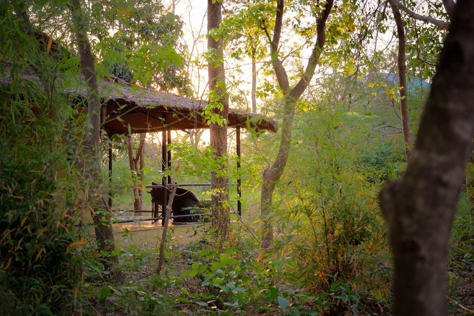 Jim'S Jungle Retreat Hotel Rāmnagar Buitenkant foto