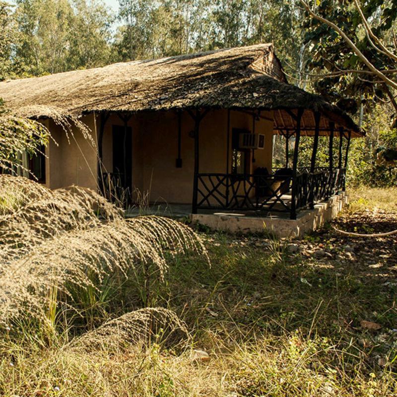 Jim'S Jungle Retreat Hotel Rāmnagar Buitenkant foto