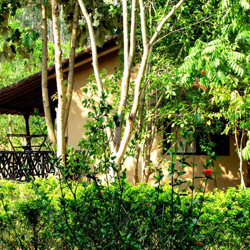 Jim'S Jungle Retreat Hotel Rāmnagar Buitenkant foto