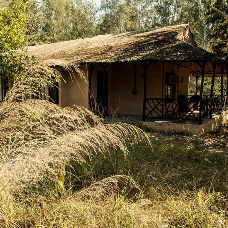 Jim'S Jungle Retreat Hotel Rāmnagar Buitenkant foto